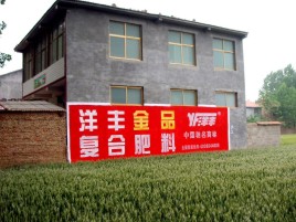 广南如何让墙体广告展现最大化效果