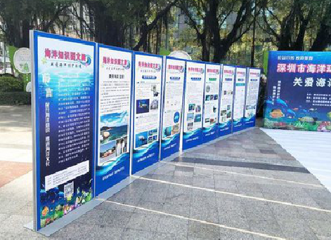 广南KT板的种类和知识。